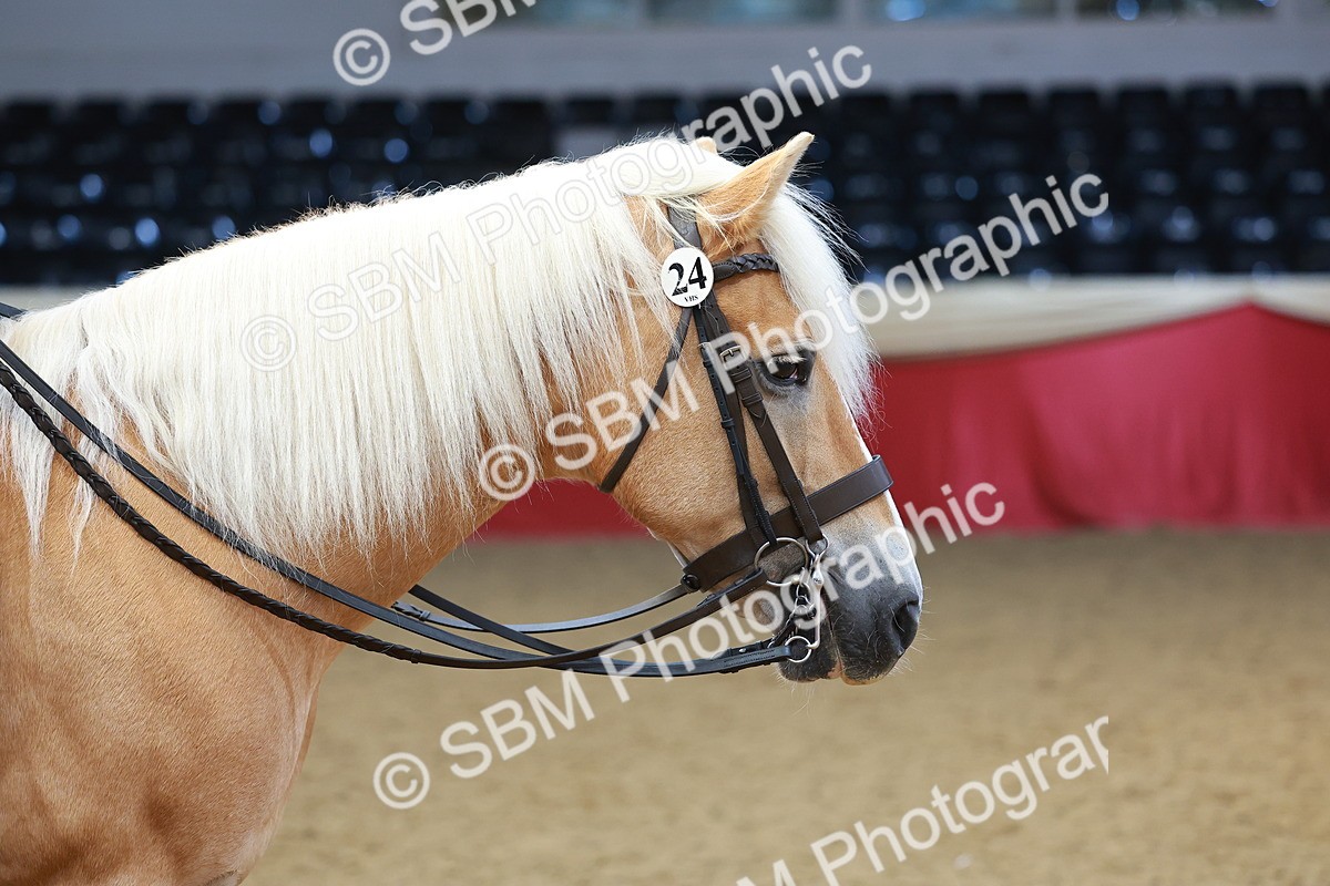 SBM_09746 - Class 102 - HOYS Veteran Qualifier - Ridden Veteran