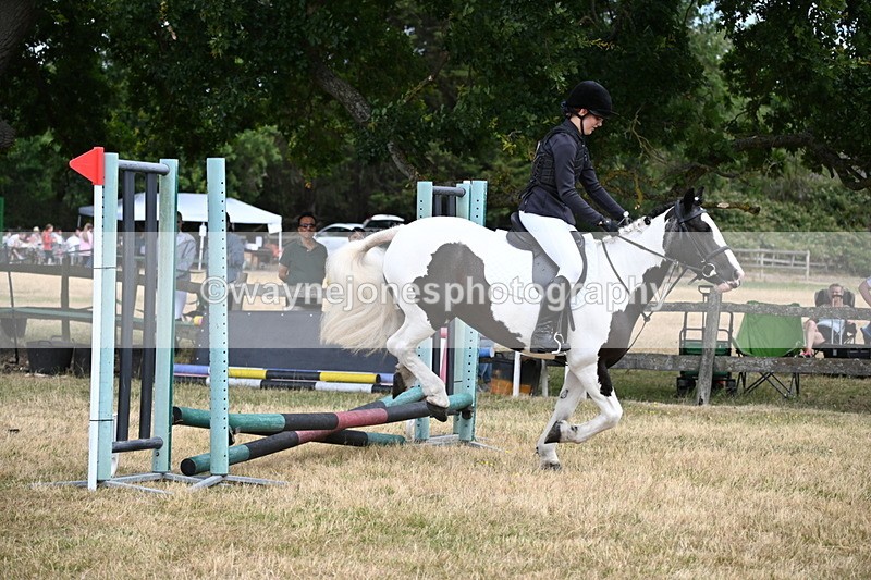WJ6_5309 - Class 12 Minimus Jumping 45cm