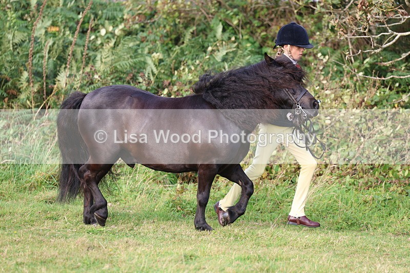 3E7A3135 - Class 12: M & M Small Breeds