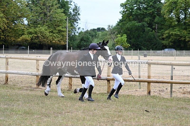 WJ7_8922 - Class 4a Prettiest Mare 14.2hh and over