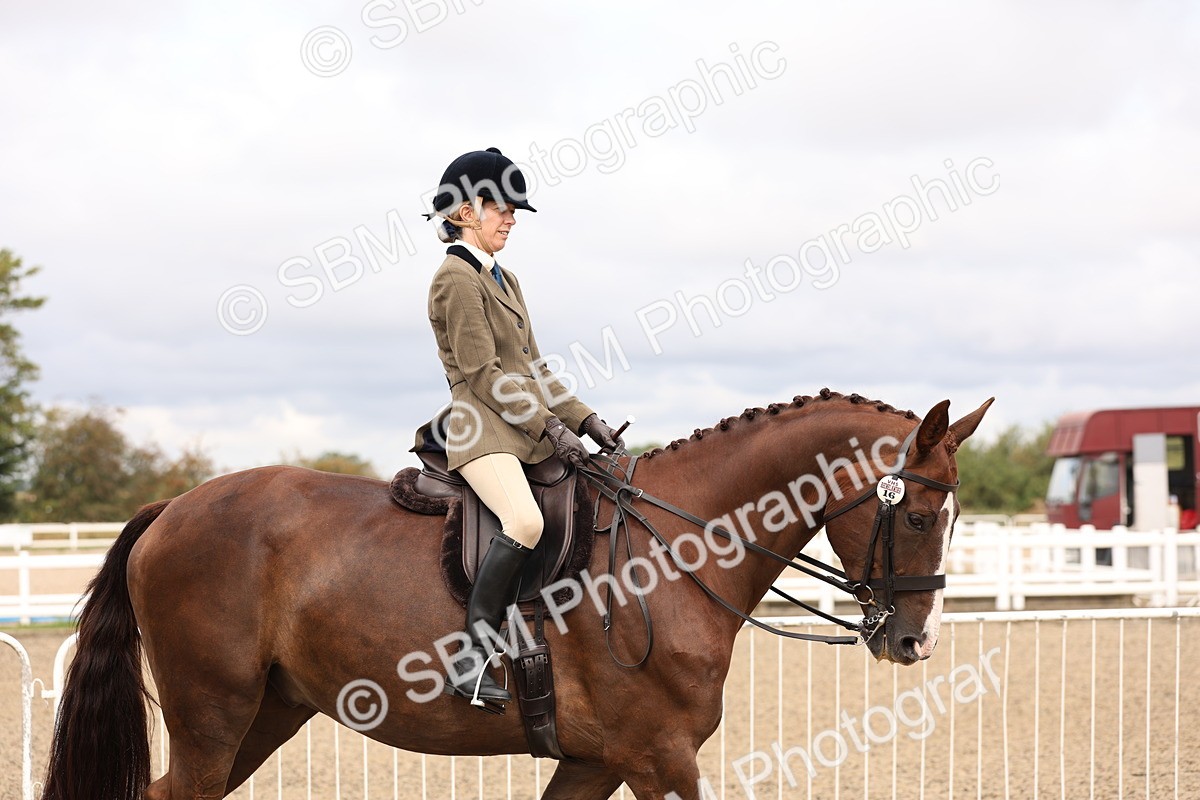 SBM_02764 - Class 53 - Ridden Competition Horse/Pony