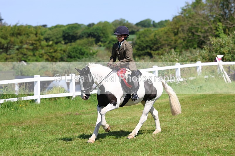 3E7A6767 - Working Hunter Pony Championship