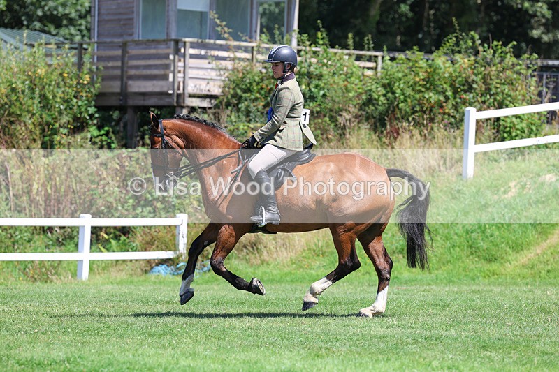 3E7A9190 - Working Hunter Championship