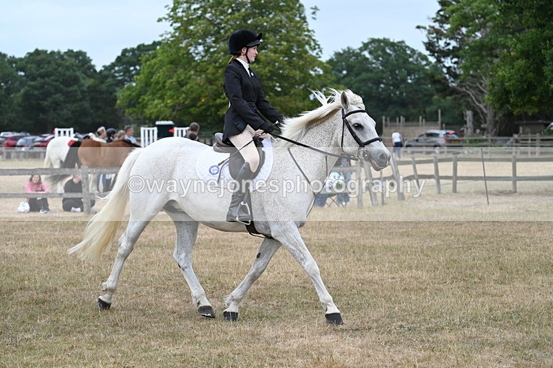 WJ7_1189 - Class 8 Ridden Veterans