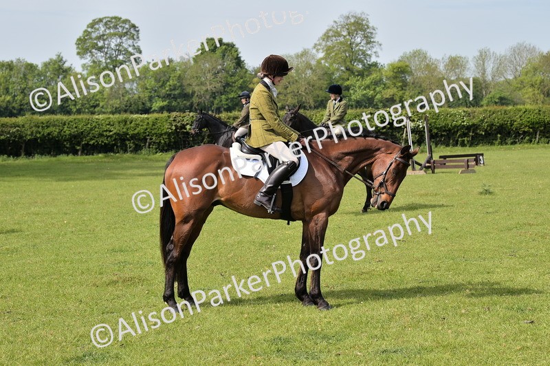 20260426-1150 - Class 19 - Retraining Of Racehorses