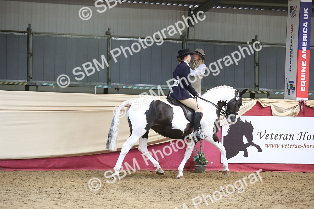SBM_23719 - class 906 - Supreme Final - Ridden Pre Vet