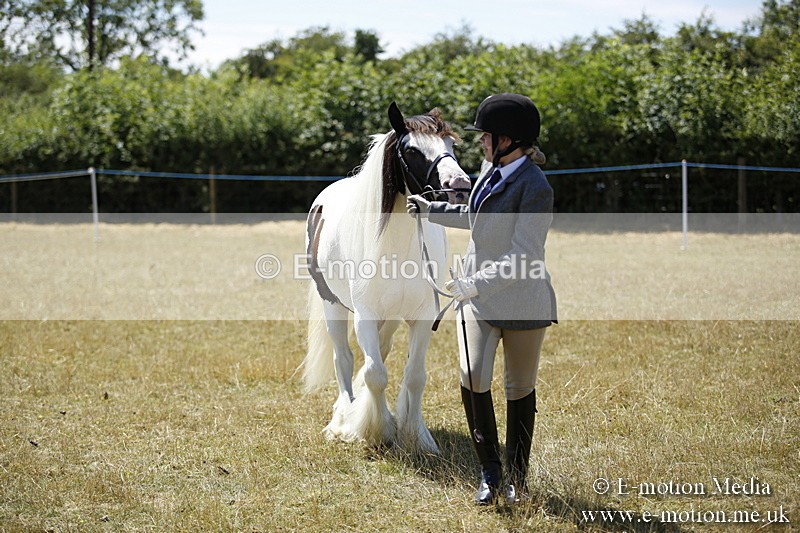 _C7A9969 - BVRC Show 2018 Ring 1