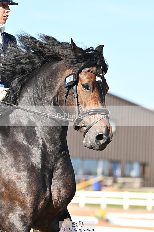 240816A-170529-06363 - 255-Victoria.Hunton-Maesmynach.Annwyl