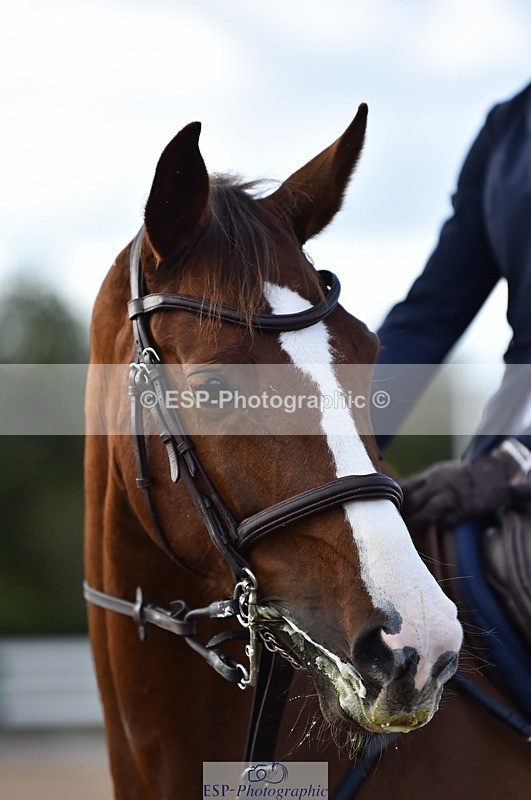 231014A-145744-05403 - Cls 15 1.05m Amateur Q 2nd R