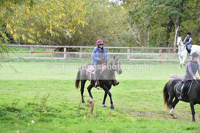 WJ5_0137 - Time 13:25 to 13:58