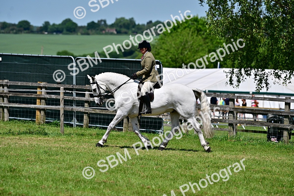 SBM_17497 - Class 95-97 - BSPS LHS Performance Ponies