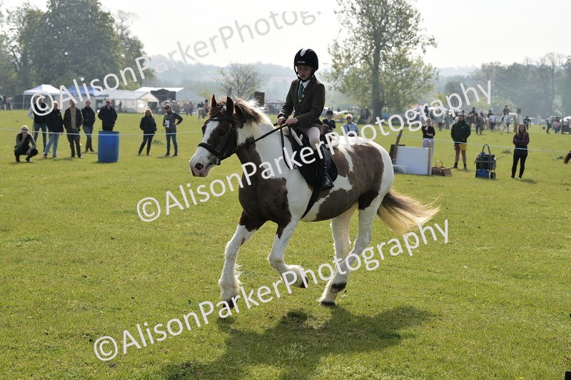 20260426-0895 - Class 18 - Novice Showing