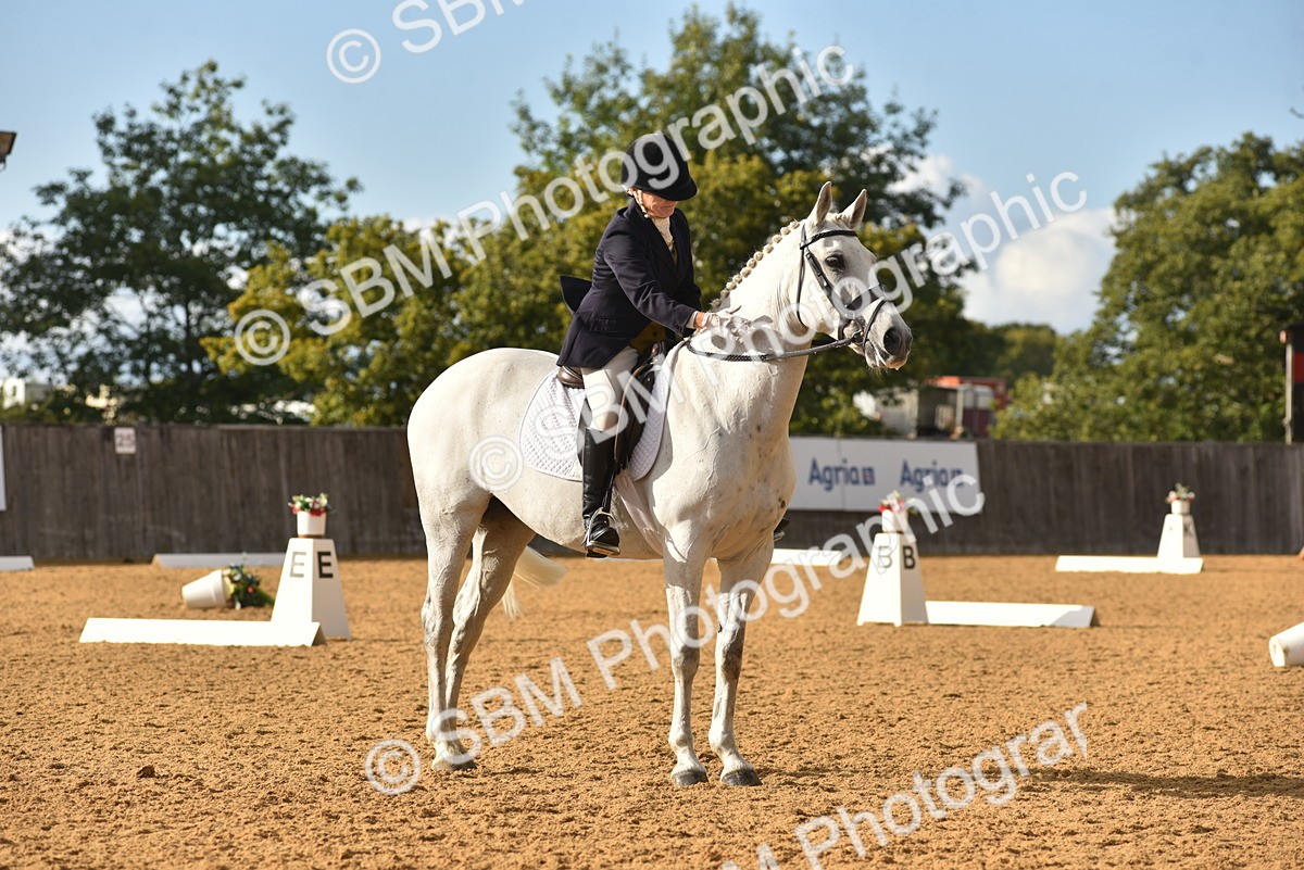 SBM_11388 - D15 - Small Tour Championship Novice 1