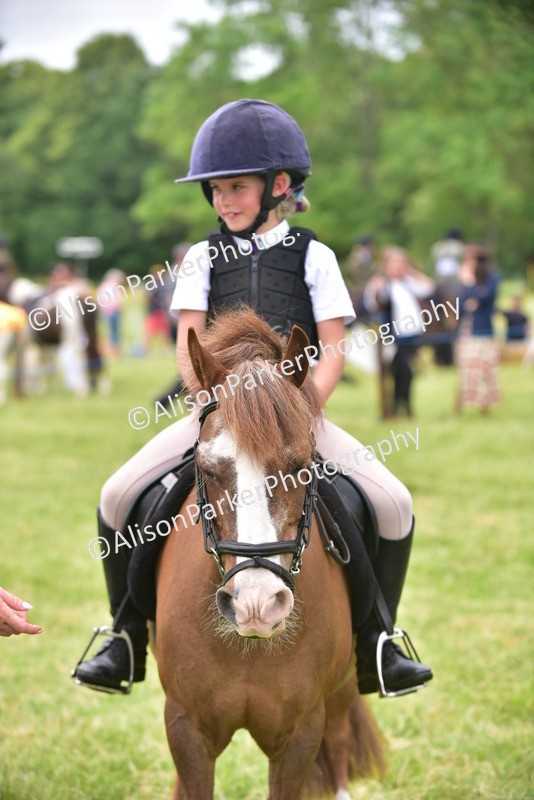 20260614-2682 - Class 13 - Pony Club Pony