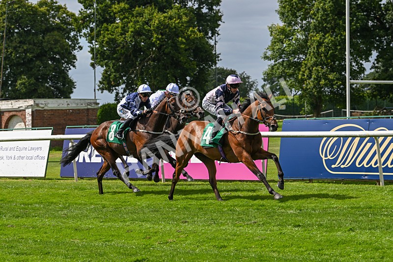 030824-Race 2-Barefoot Warrior-1521 - Race 2