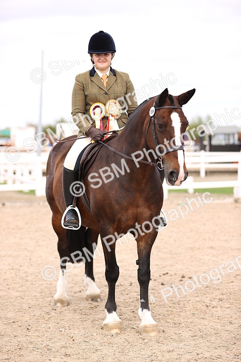 SBM_16178 - Class 420 - Horse-Pony Judge would most like to take home (IH or Ridden) Jnr