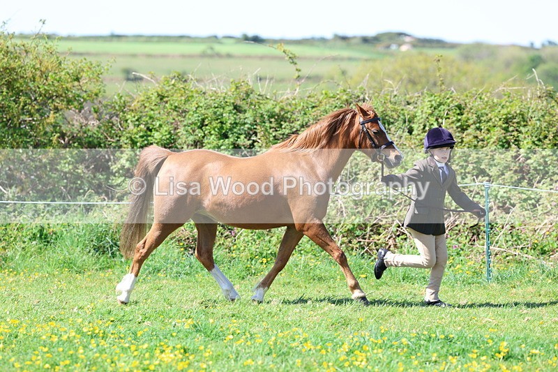 3E7A9827 - Class 17: Young Handler