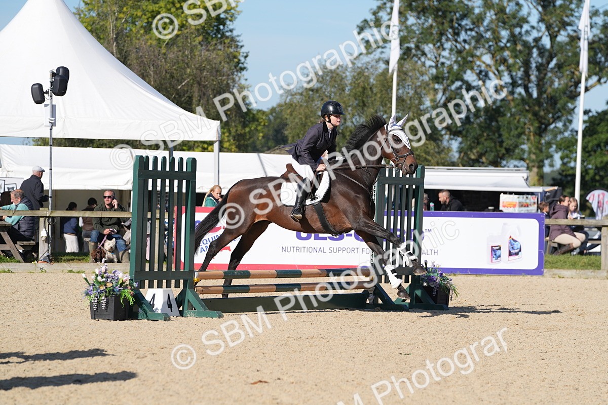SBM_36156 - J 20 - Junior Horse 50cm Championship