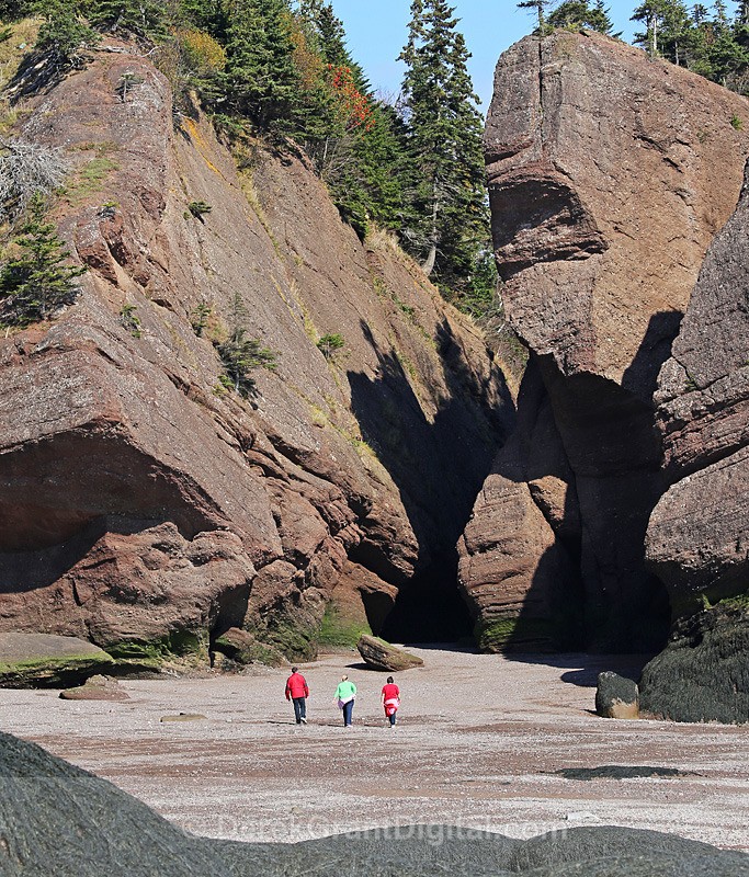 The Rocks @ Hopewell Cape - The Elephant - The Rocks @ Hopewell Cape