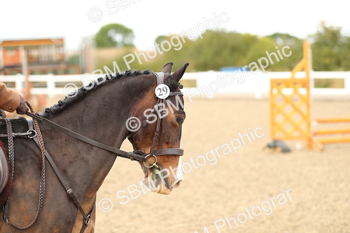 SBM_05247 - Class 47b Style & Performance 60cm (20+)