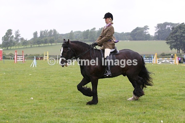 MBJ_4179 - Morecambe Bay Riding Club June 2011 - Ridden Showing