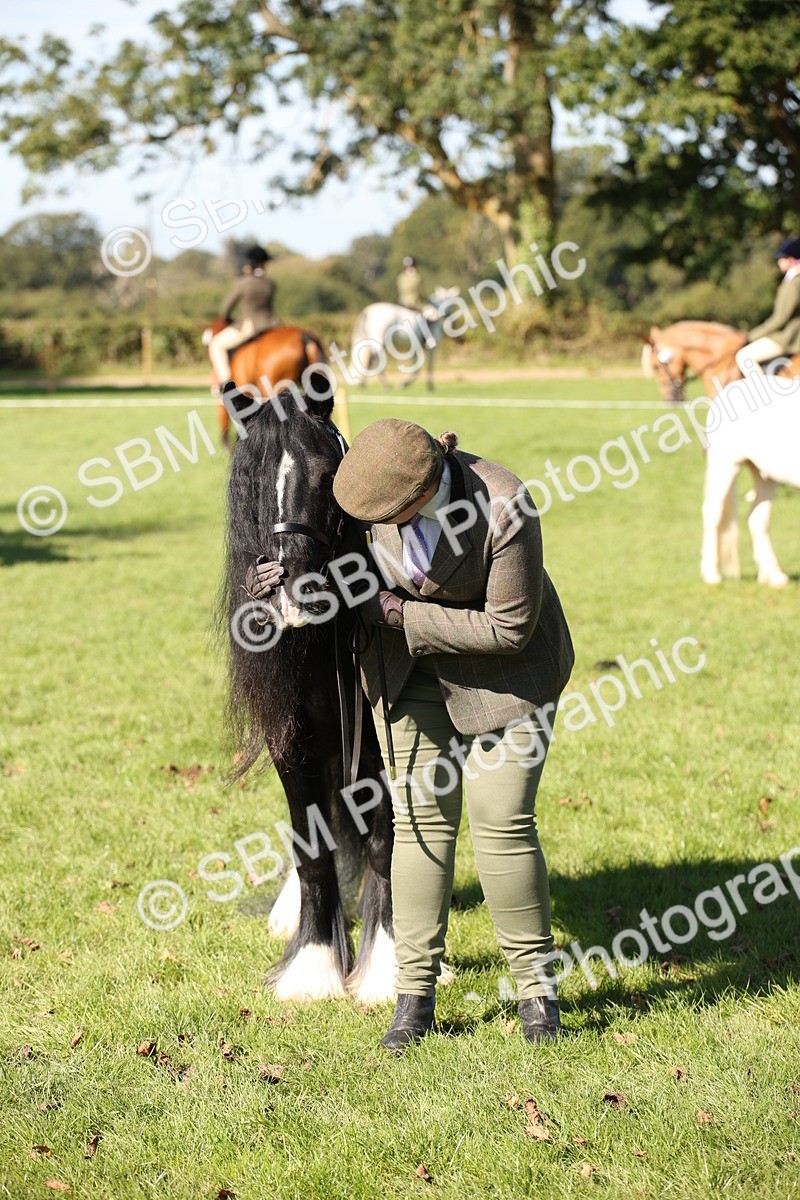 SBM_36680 - S10 - Best In Hand Horse & Pony