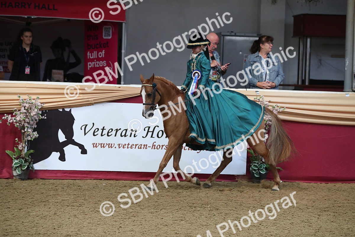 SBM_11310 - Class 104 Ridden Costume - Astride Junior