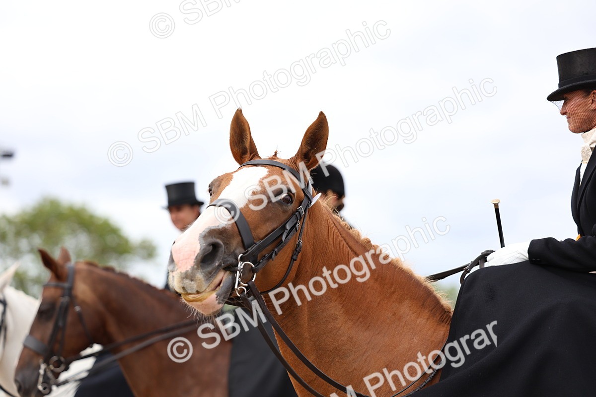 SBM_03483 - Class 24 - SSA Concours d'elegance (any age)