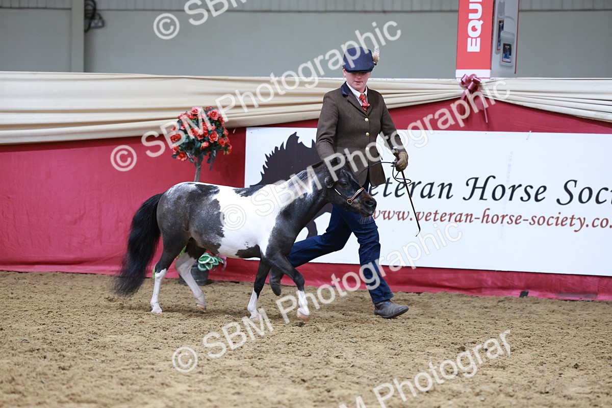 SBM_15728 - Class 110 - IH  Minature Horse