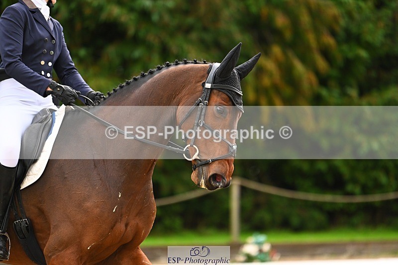 231021-095847-12642 - 228-CHEVALIAN.DUCATI-Hannah.Hobhouse-DR