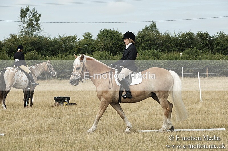 _PJP5724 - Dressage Classes BVRC Show 2018