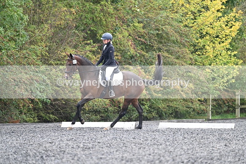 WJ7_3861 - Time 11:04 to 11:38