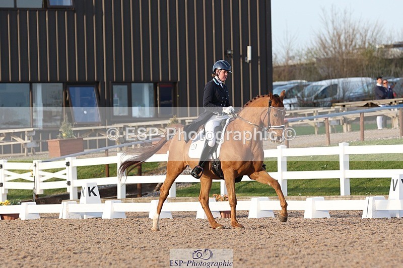 250404-183958-08313 - 135-Megan.Field-Bright.Time