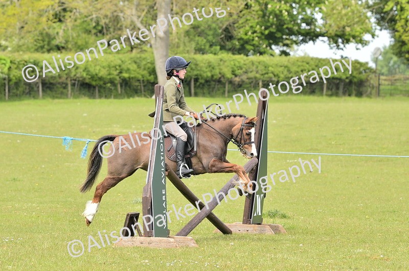 20260426-2391 - Class 21 - Working Hunter Ponies