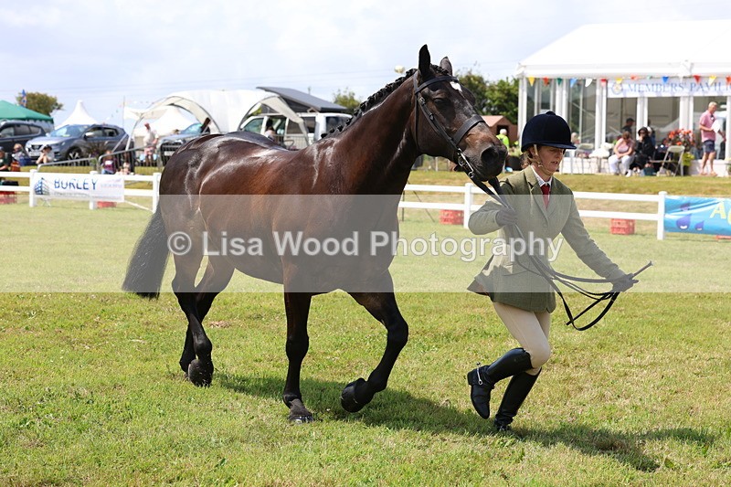 3E7A1658 - Class 9: Open Hunter