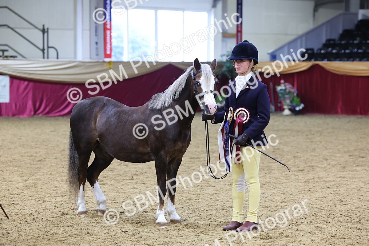 SBM_19817 - Class 901 - Supreme Final - IH Diamond