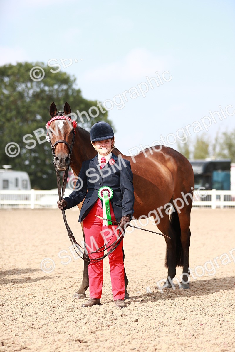 SBM_11134 - Class 205 IH Show Pony/ Show Hunter Pony