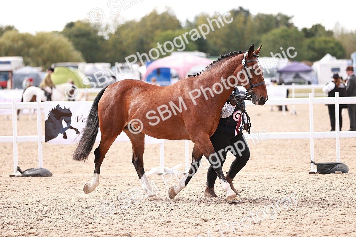 SBM_13384 - class 406 - IH Hunter