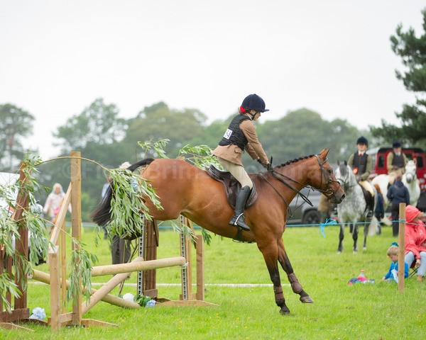 Dunblane show-315 - Dunblane and Doune Show Ring 1