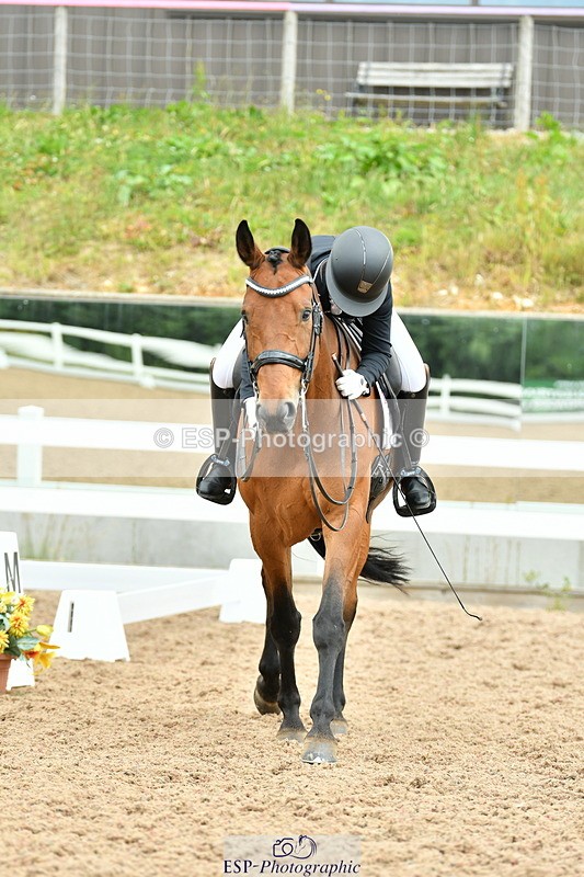 230702A-124158-09341 - Cls 29 Elementary 57