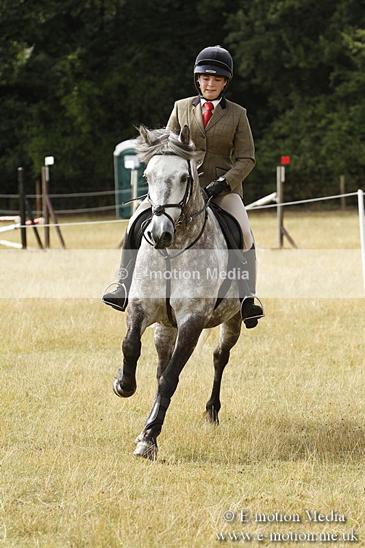 _BS_0569 - BVRC Show 2018 Ring 3