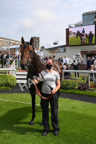 yr10072021r2-36 - Race 2: 2.20pm John Smith's Silver Cup Stakes