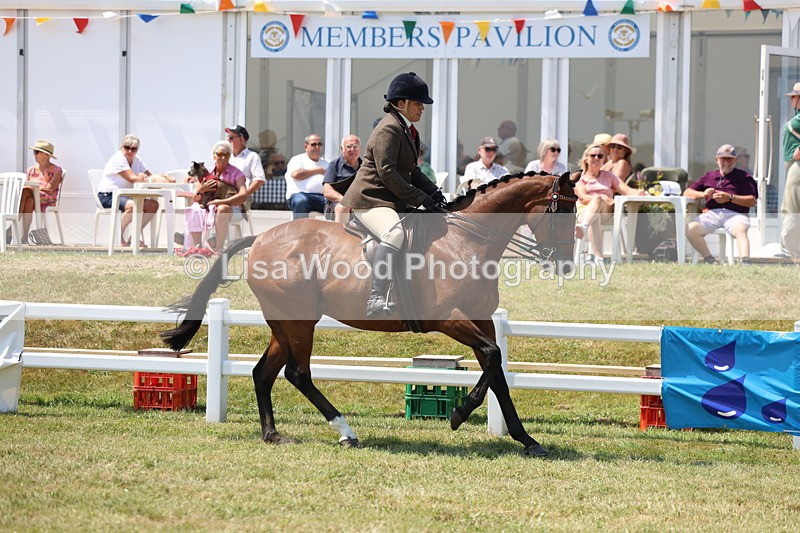 3E7A9308 - Class 12: Open Racehorse to Show Horse