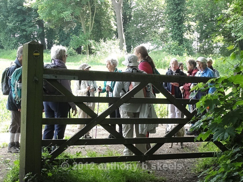057 The last gate before Bedale Tea - York Minster Walkers Collection 2024