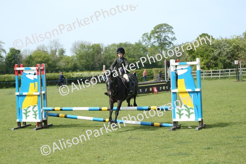 20260426-1753 - Class 14 - Novice 60cm