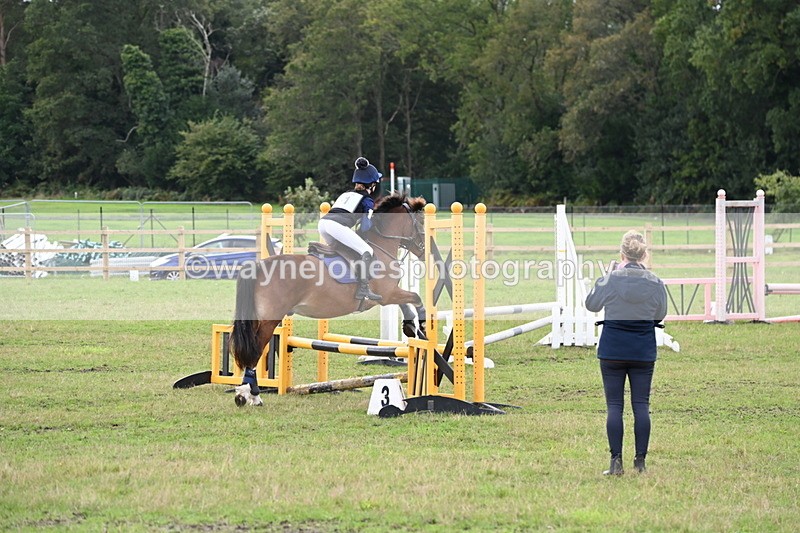 WJ6_1293 - 60cm Time 11:51 to 12:10