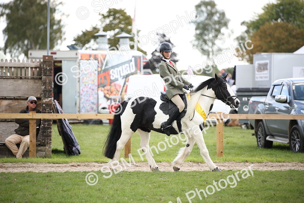 SBM_40905 - Fun Showing Supreme Championship