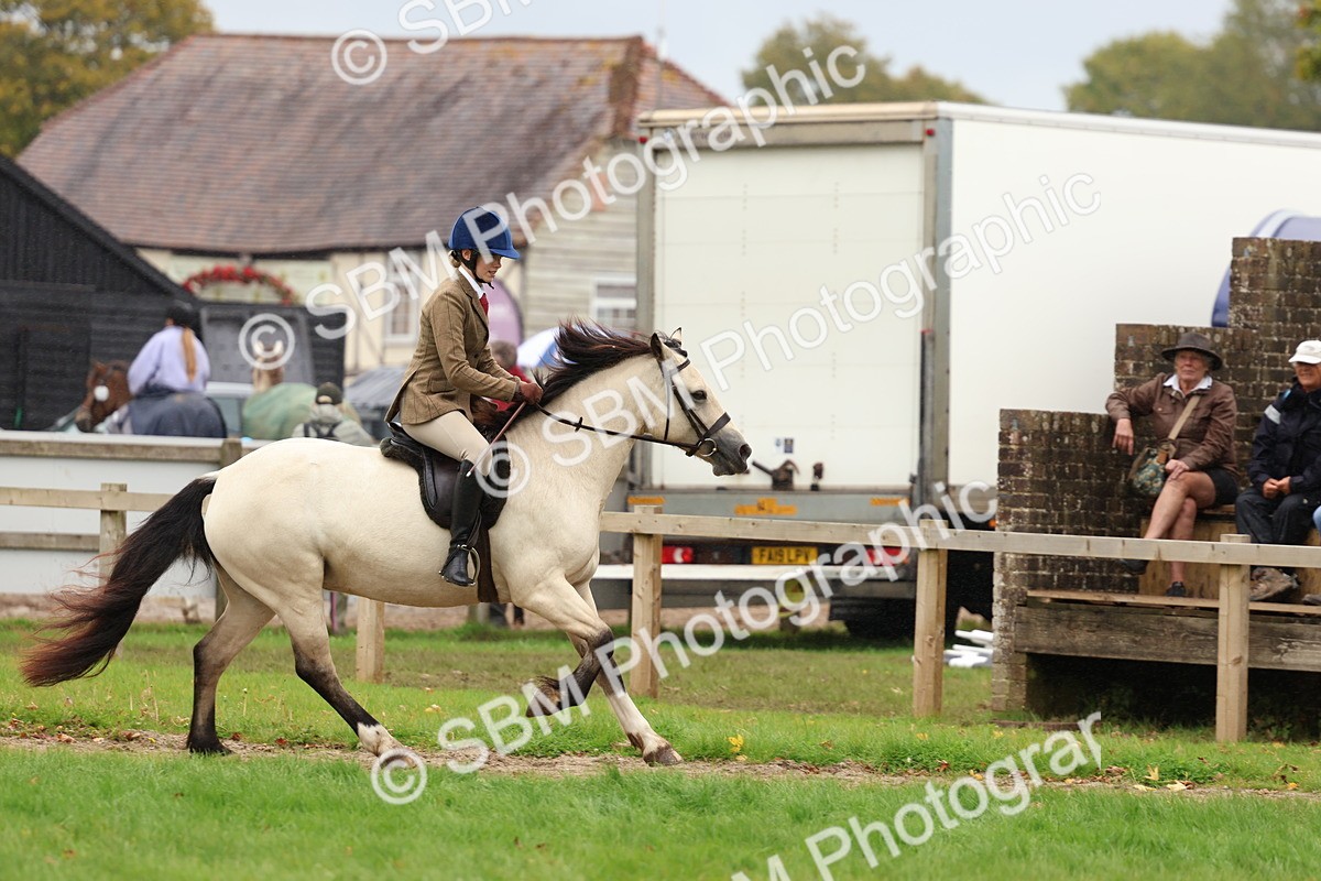 SBM_69623 - S62 - Mountain & Moorland Ridden Large Breeds