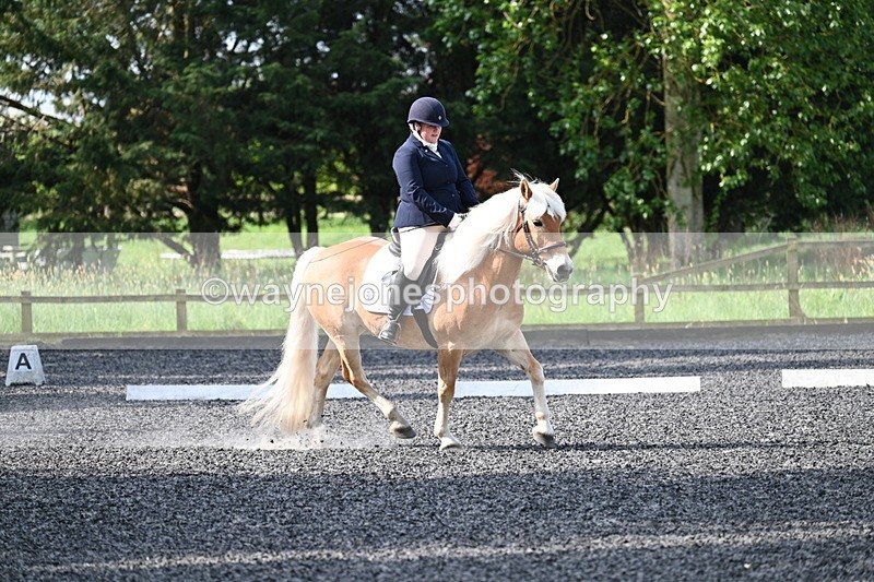 WJ7_7972 - Time 10:11 to 10:27