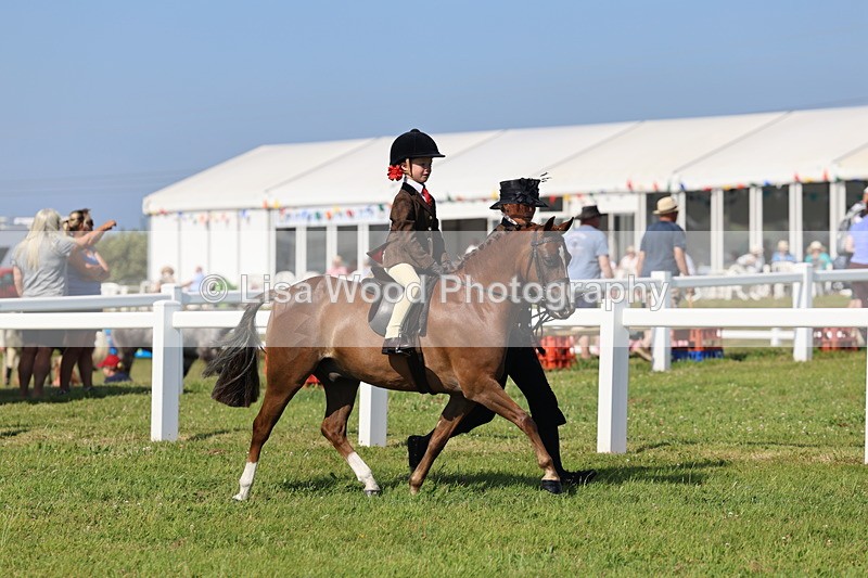 IMG_1708 - Class 31: Lead Rein SP/SHP